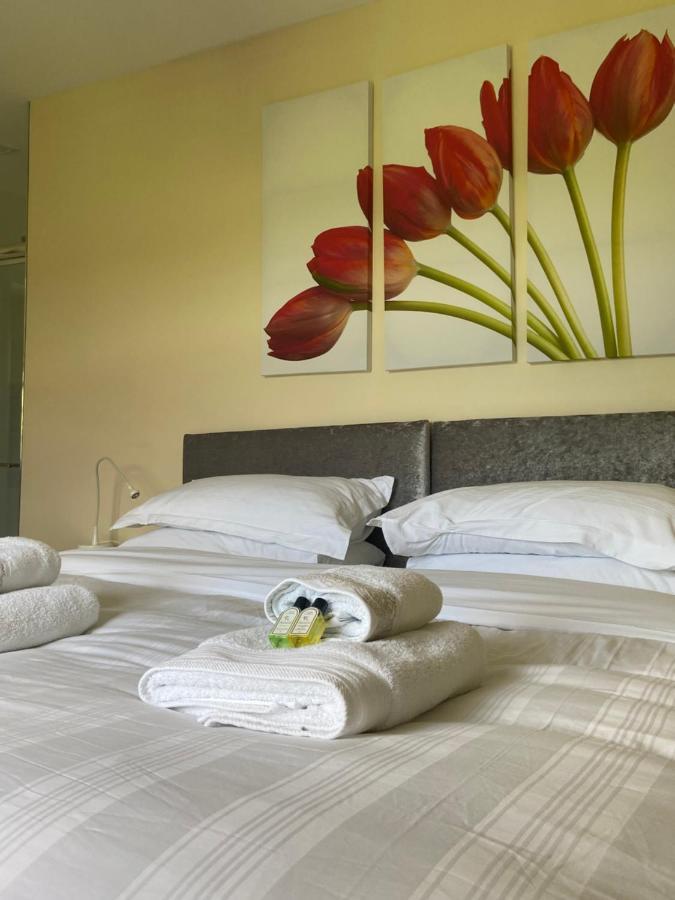 Ashbrook House Apartments Данґаннон Екстер'єр фото